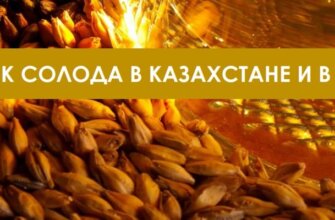 Рынок солода в Казахстане и в мире